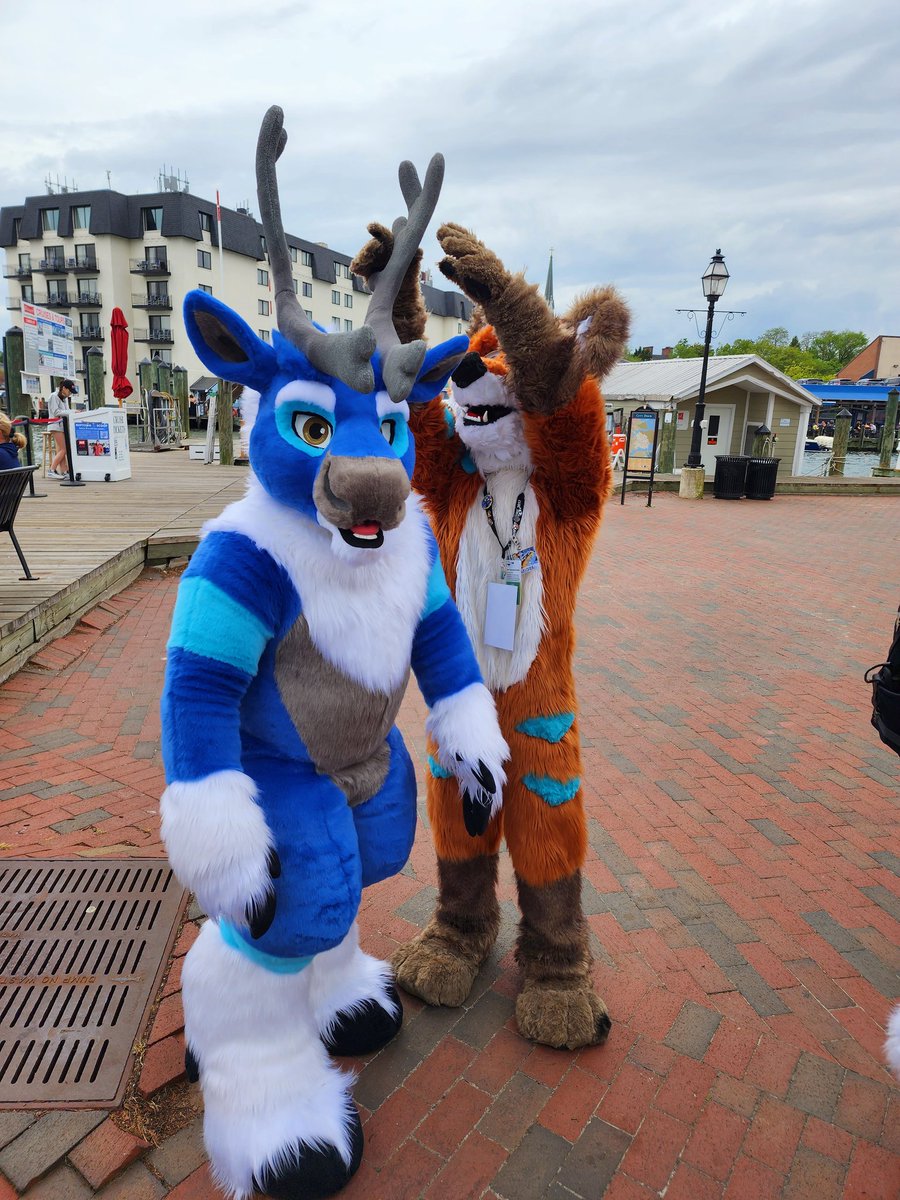 Since when did my antlers become handlebars!?!?!? 💙🤍 🦊 @XavierNerdFox 📸 @Dialuca01 ✂️ @TwinkyArts #FursuitFriday