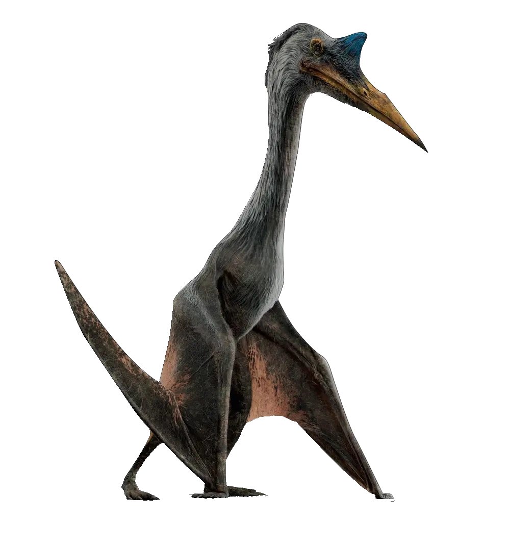 De quetzalcoatlus is met een vleugelspanwijdte van tien meter het grootste vliegende dier uit de wereldgeschiedenis waarvan goede resten verzameld zijn.