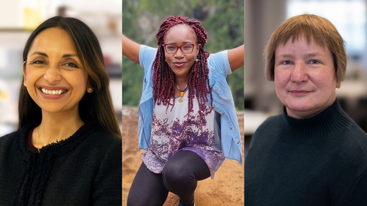 The festivities are just around the corner! 🎄☃️ Our #ThreeWiseWomen give the gift of wisdom: 🫀 @doctor_paz on matters of the heart 🌍 @Sungano on the power of connection 🧑‍🔬 @WiebkeArlt on Team Science Read more: imperial.ac.uk/stories/three-…