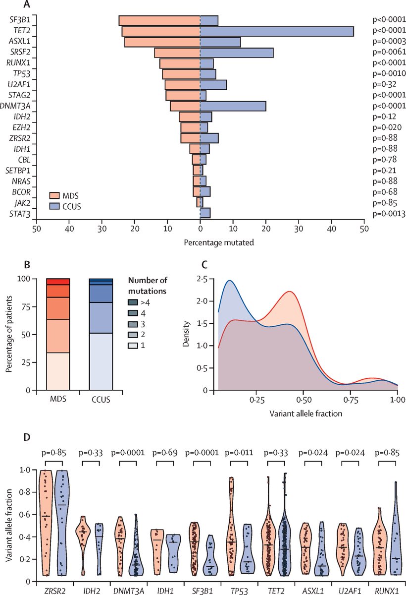 NEW: a cohort study on CCUS suggests high-risk mutations and their number are predictive of survival warranting clinical surveillance &amp; advises mutation analysis in patients with available bone marrow samples #cytopenias thelancet.com/journals/lanha…
