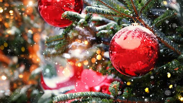 Merry Christmas and Happy Holidays from everyone at Acuigen to all our friends, clients and followers.