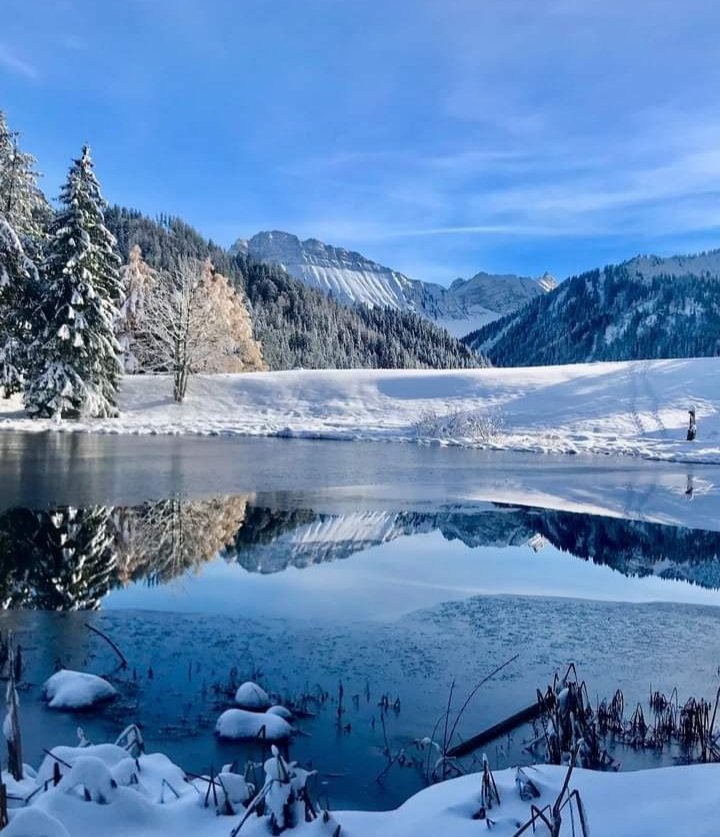 Beauté  hivernale
Lac des Joncs(Suisse)

📷Stiffyber