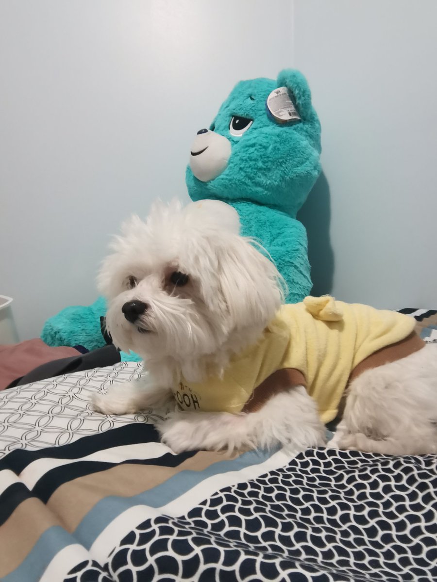 Margaux (@iamme_margarett) on Twitter photo 