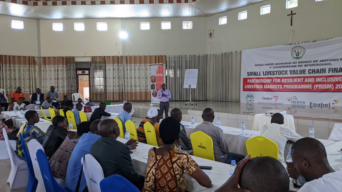 Cordaid's #PRISM B2B today in @MusanzeDistrict  forged vital connections among SACCOs, MFIs, Banks, Insurance Companies, small livestock farmers, Vets, and agro-inputs producers. The mission: amplify financing for small livestock.