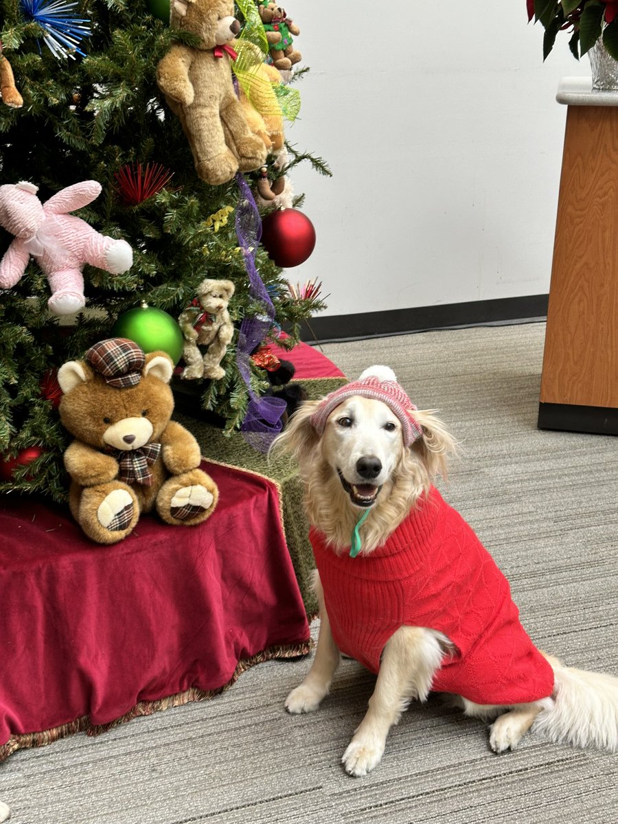 Hey happy doggone holidays from <a href="/ChildrensCBDI/">CincyChildren's CBDI</a> <a href="/CincyProton/">CincyProtonResearch</a>