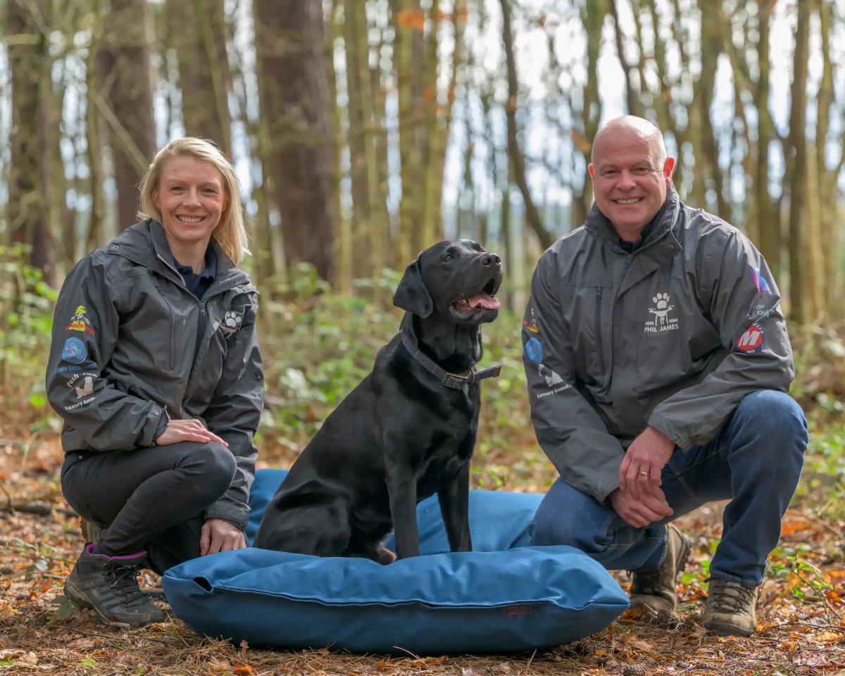 🎄 Drone To Home is about all animals and helping people in need. Phil's dedication to helping people who've lost a pet he does not let anything get in his way of reuniting a lost pet, especially dogs. 4:30pm on #YouTube 🎥 #TheWonderBirdsShow #ChristmasSpecial #DroneTohome