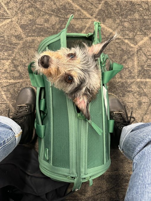 first time on an airplane check https://t.co/09Y6LdNabN