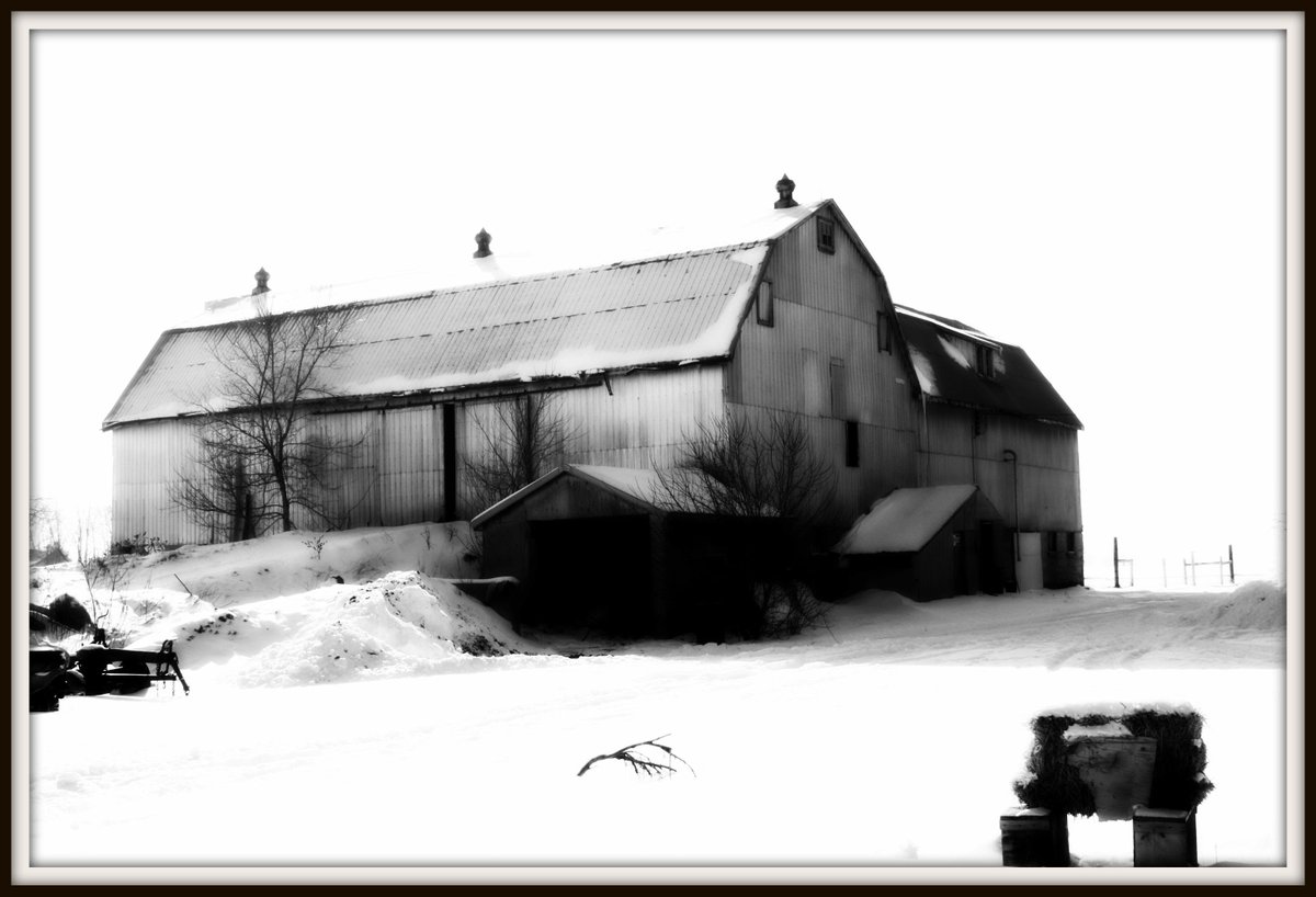 More on your mind than just Christmas?  Feeling stuck, alone, overwhelmed? From the tractor, from the barn, or from the house after a long day ~ there is someone to talk to. 1-866-267-6255 * 24 hours a day, 7 days a week, 365 days a year.  farmerwellnessinitiative.ca