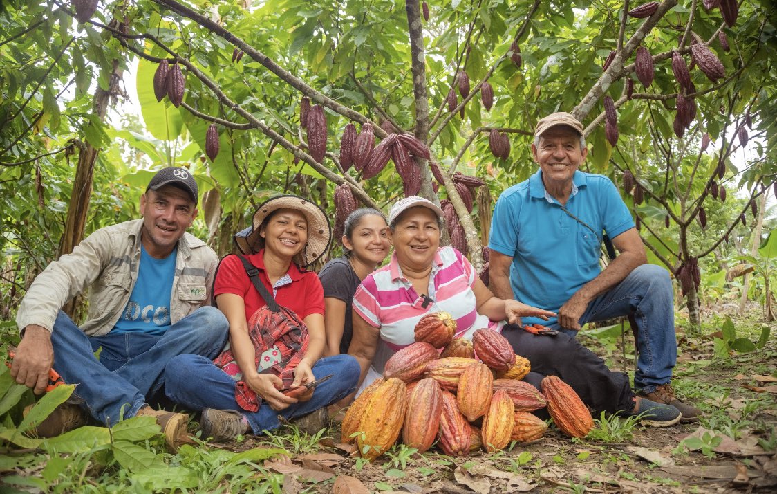 El fomento del trabajo autónomo de los socios con Iniciativas como resiembra, reinjertación, reforestación, compostaje, emprendimientos en productos derivados de la transformación del cacao, le agregó valor a la intervención y permitió el involucramiento de las familias.