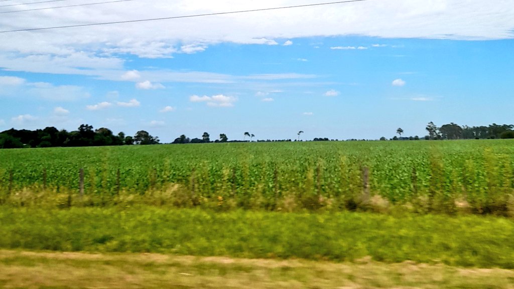 agusdel97's tweet image. 🛣️ #ruta2 
Mientras estoy viajando me llegó la noticia de que me seleccionaron para #codoacodo 4.0 🇦🇷
Comienzo el 26 de febrero!
Qué felicidad 🦾 a seguir aprendiendo cosas! Se viene un muy buen 2024 ❤️‍🔥 y terminando de 10 este!