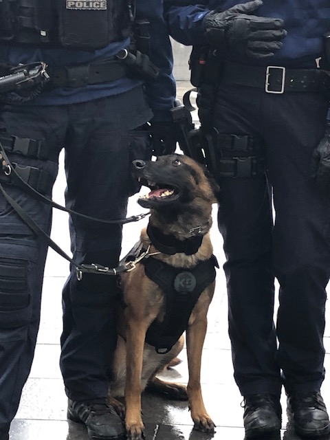 #paradertl
Vous venez ? Venez plus tôt, privilégiez les transports en commun, le co-voiturage, répartissez-vous tout le long du parcours, il est déconseillé de venir avec un sac à dos, un grand sac à main ou une poussette. police.be/5325/actualite…
