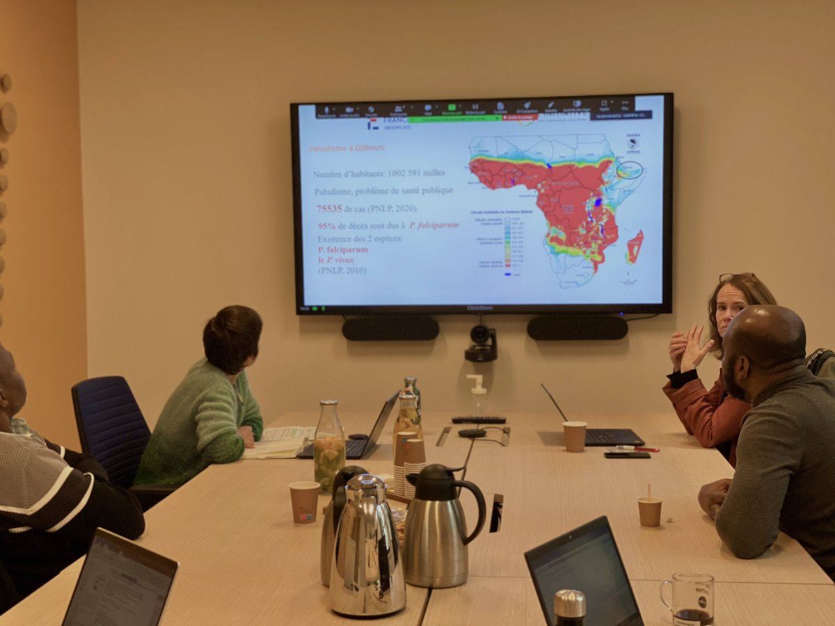 🚀 L'Initiative is proud to fund #research against #malaria! Review of a major scientific discovery ⤵️ 🧬 In Djibouti, our technical assistance is training the teams of @CHUDjibouti in sequencing. The results revealed links between mutations and therapeutic failure for two…