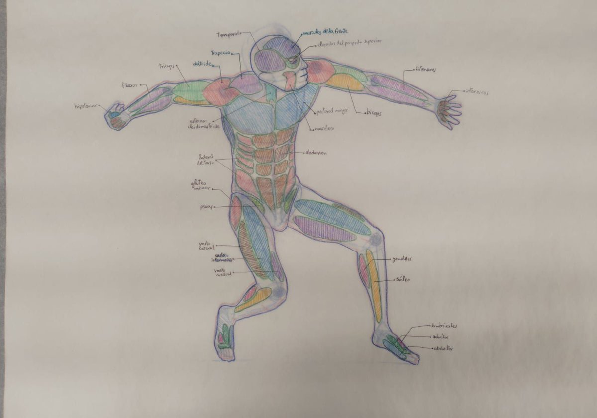 #JamásTeDetengás Vean los proyectos de cierre de año de estudiantes de Diseño Publicitario. 
En el Curso Dibujo Publicitario II los estudiantes tenían que realizar bosquejos completos sobre la anatomía humana.