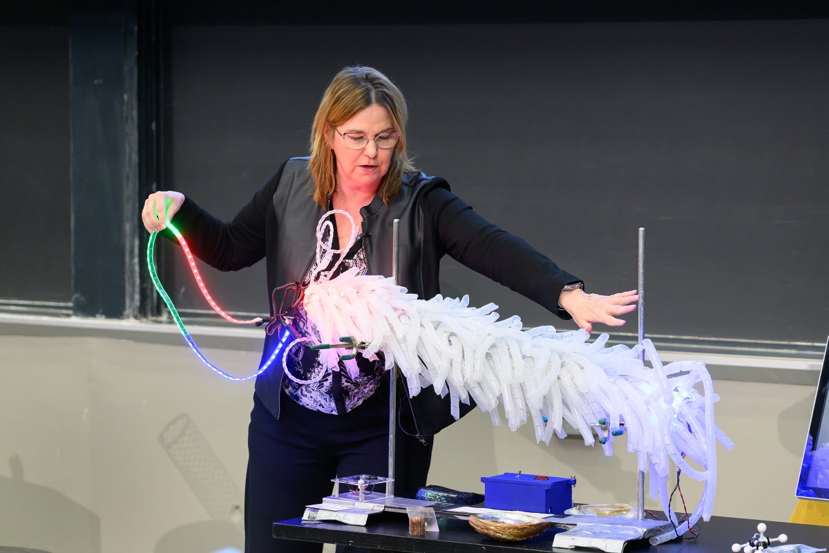 Angela Belcher delivers 2023 Dresselhaus Lecture on evolving organisms for new nanomaterials: MIT professor combines nanoscience and viruses to develop solutions in energy, environment, and medicine. mitsha.re/JlFI50QlshC