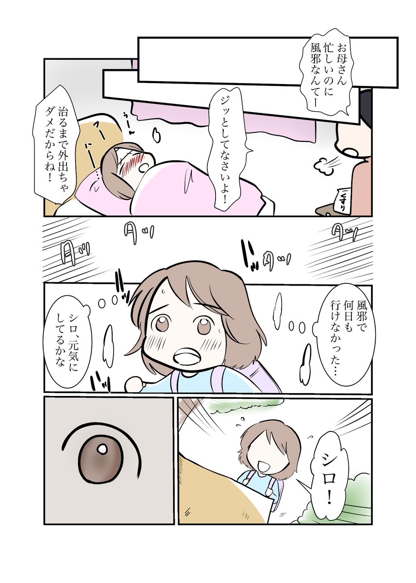 #スパダリにゃんこ
#くぅの日常 第210話
約束と後悔

ハイスペックなスーパーダーリン、スパダリ猫を目指すくぅと、飼い主しずくの日常マンガ。

しずくが語る、シロと名づけた猫との出来事。彼女が交わした約束、そして後悔とは…?

#猫マンガ 