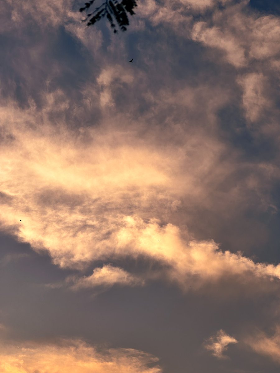 وَزَيَّنَّاهَا لِلنَّاظِرِينَ