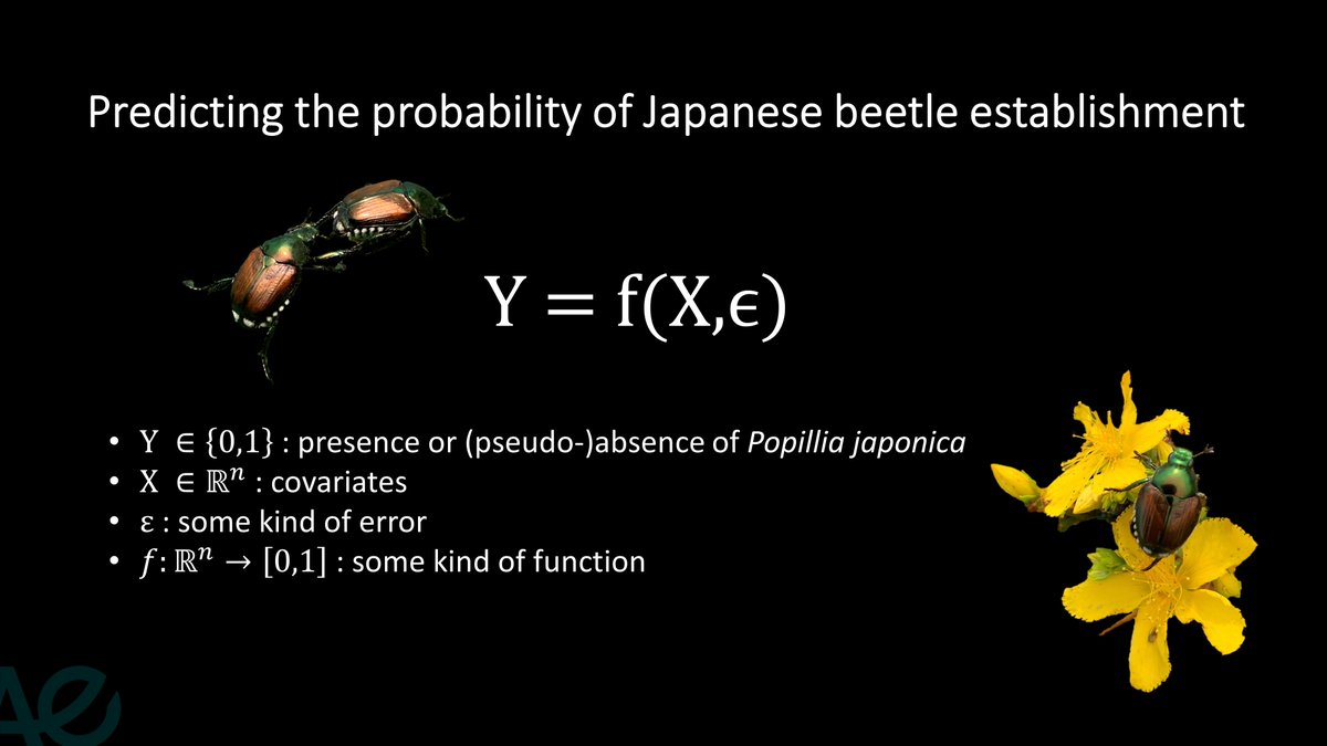 Blog post alert!  
I rarely blog, but here I try to explain our main results on modelling Europe's environmental suitability for the Japanese beetle. 🪲
This is part of our work on an EU surveillance strategy.

📍popillia.eu/blog/mapping-t…

#Popilliajaponica #SciComm
@IPMPopillia