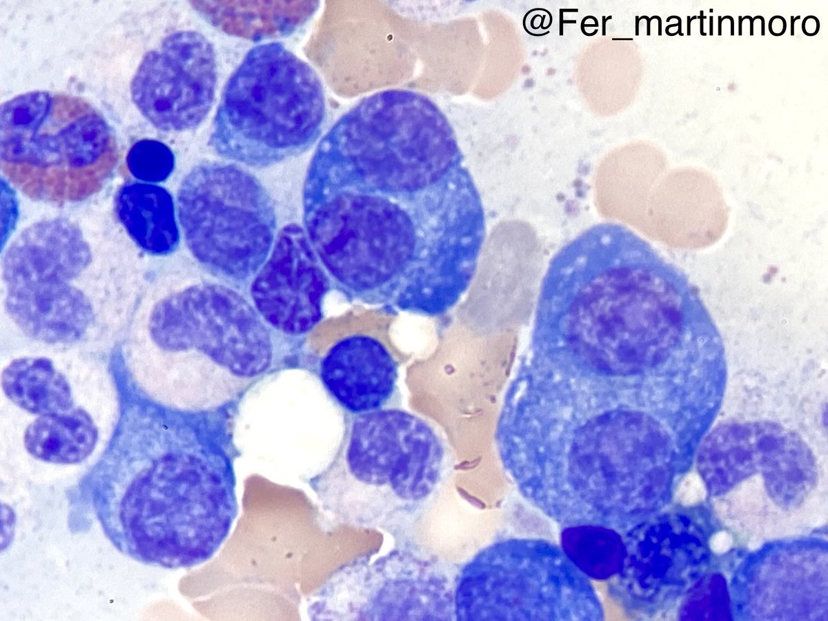 Can you guess the diagnosis? 🤔