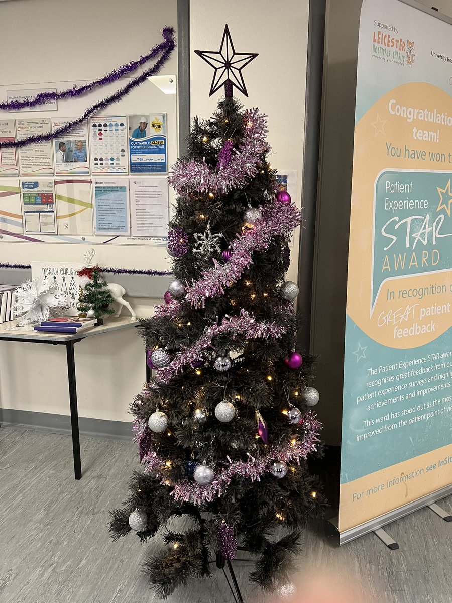 It was lovely walking out and seeing the group therapy session yesterday. Well done @uhl_stroke for such a wonderful session and wonderful Christmas trees @StrokecouncilLE