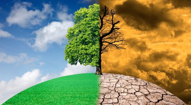5 afirmaciones falsas sobre el cambio climático desmontadas por la ciencia dlvr.it/T0V0CH