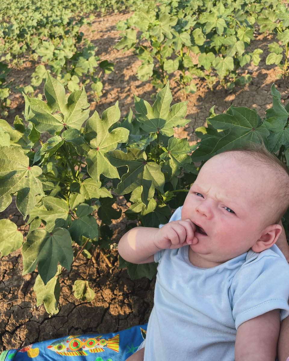 Emma Ayliffe tweet media