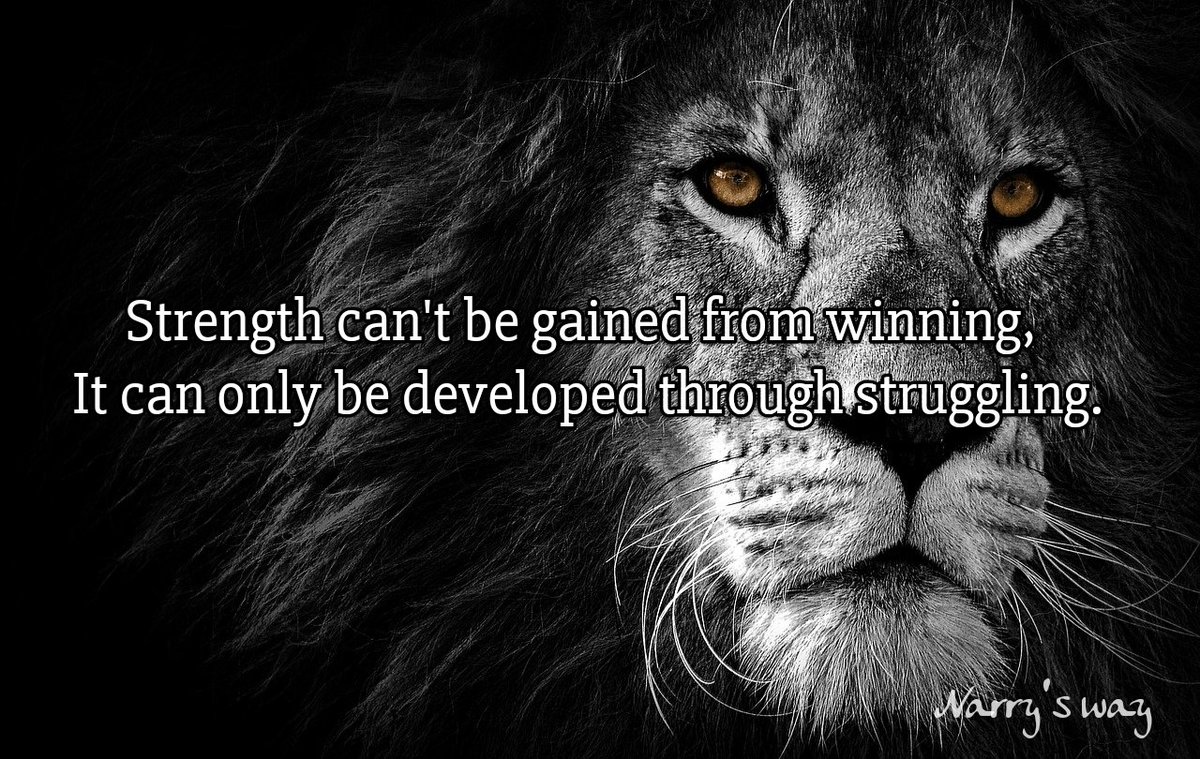 narrys_way's tweet image. Learn how to fail before you learn winning 🥇
#yourpurpose #lifepaths #learntofail #learntowin #winningways #strength #freedom #struggle #pragmaticwayoflife #Narry&apos;sway