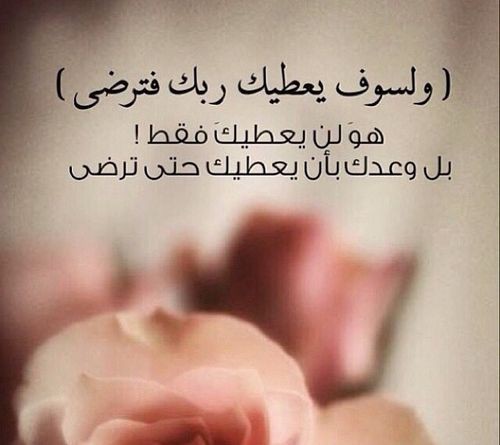 MasterAlpha99's tweet photo. الحمدلله 🤍
#مع_القرآن https://t.co/MrOZ7bPQWM