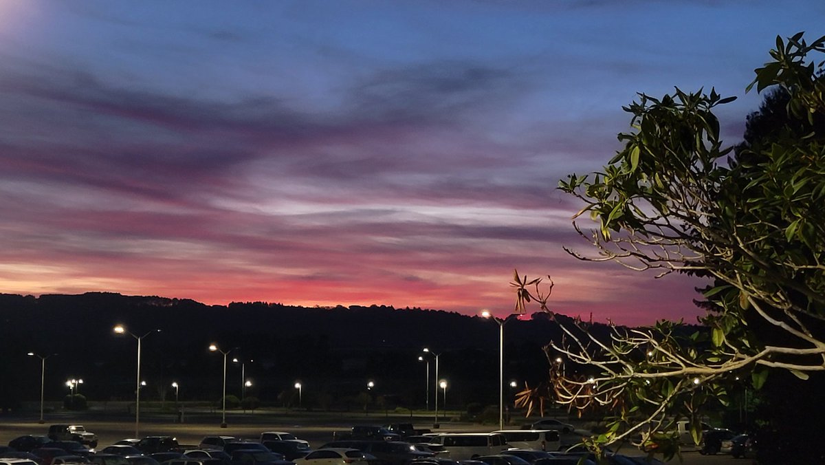 swocclakersWBB's tweet photo. Picked up the W in Eureka yesterday. Walked out of the gym to a beautiful sunset. Go Lakers!

#swoccwbb #swocc #thelakernation https://t.co/CVFP0uRrt8