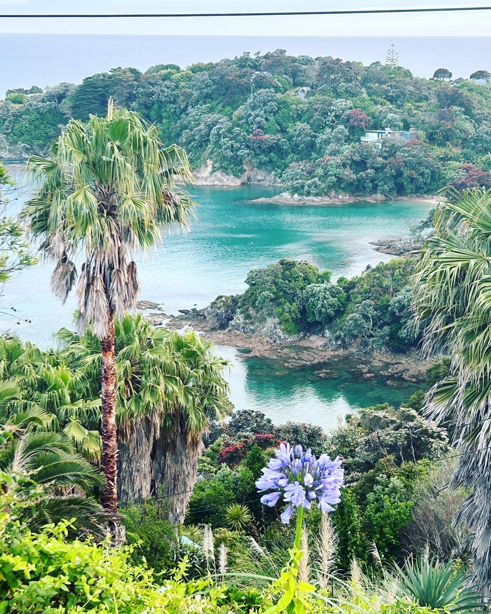 Life is but a dream! #solotravel