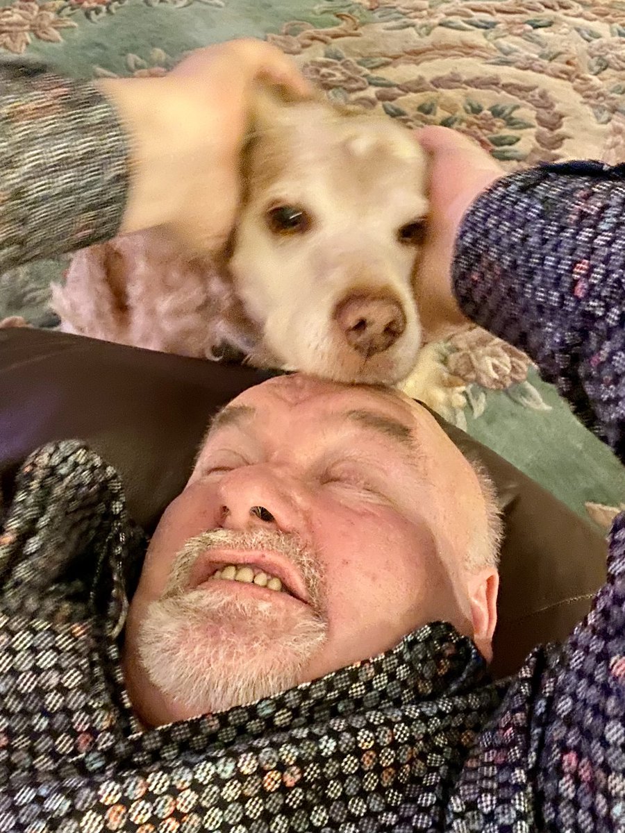 SpanielsSuper's tweet photo. That’s it dad!
More dad!
Get my nose dad!
#PleaseDad https://t.co/iPkneQ9r0a