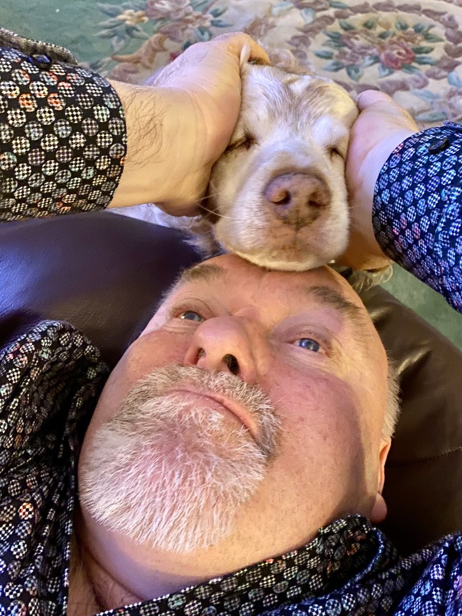 SpanielsSuper's tweet photo. That’s it dad!
More dad!
Get my nose dad!
#PleaseDad https://t.co/iPkneQ9r0a