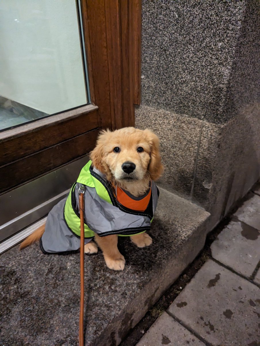 pausat tagga @investacus tweet media