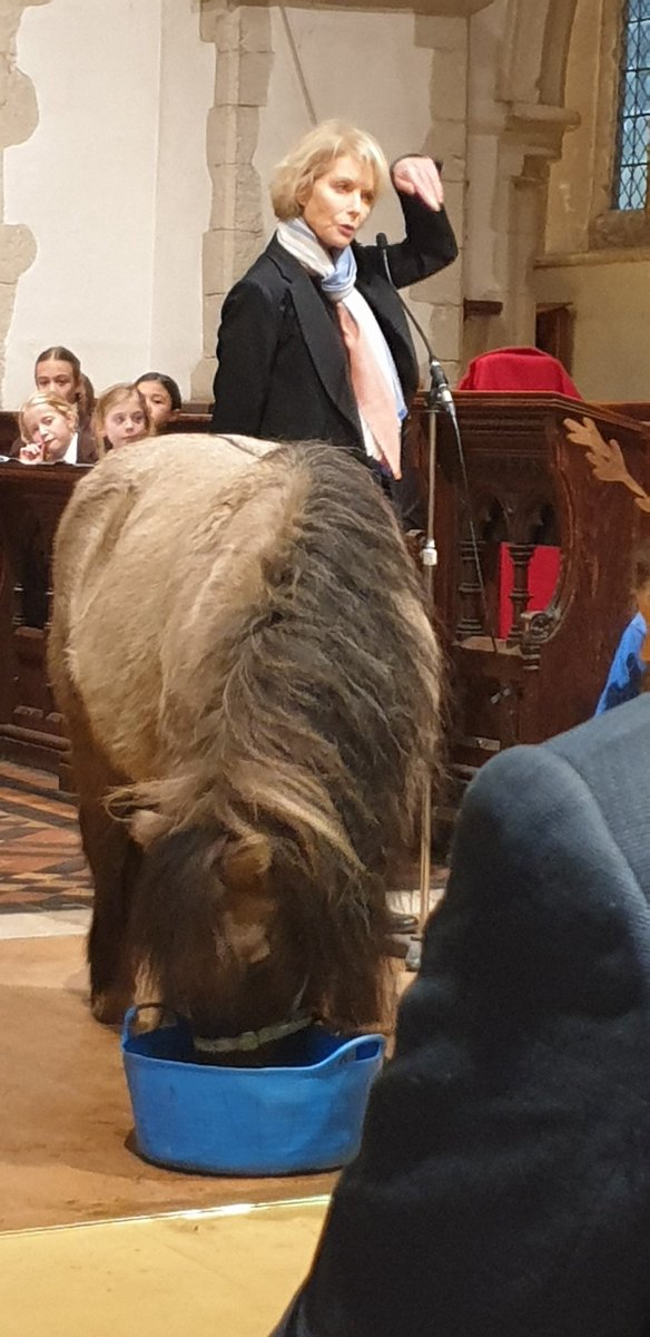 An amazing evening of Shetland ponies Christmas carols, readings, St Hilarys School jr choir this evening for the annual Carols for @manechance at The Church of St Peter & St Paul in Godalming. Performances  by @springmeister Felicity Kendal @Margaretkeys @MrMaxBrown @RobertDaws