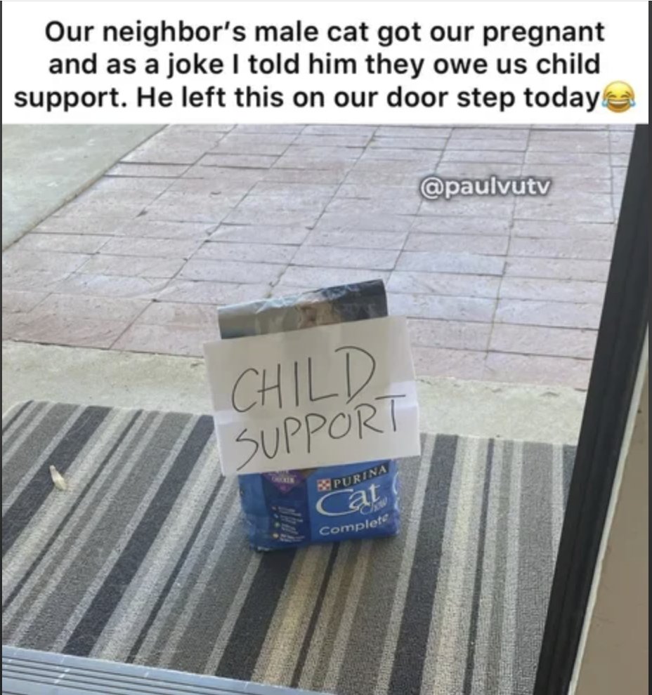 Respectful Memes (@respectfulmemes) on Twitter photo 