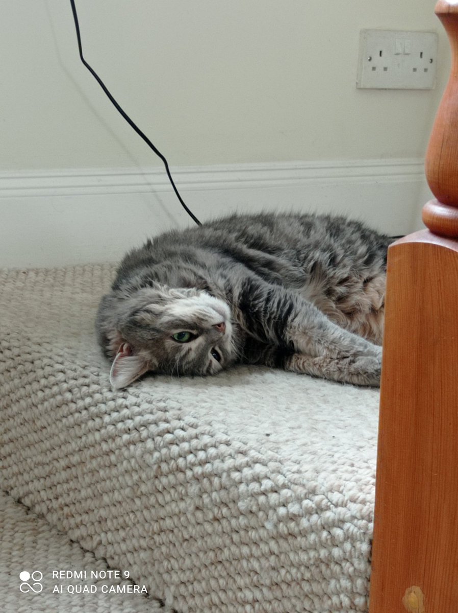 Jacq75's tweet photo. @Phil_Sledge ORB at 14. Absolute feisty dote https://t.co/EmytkdNxAg