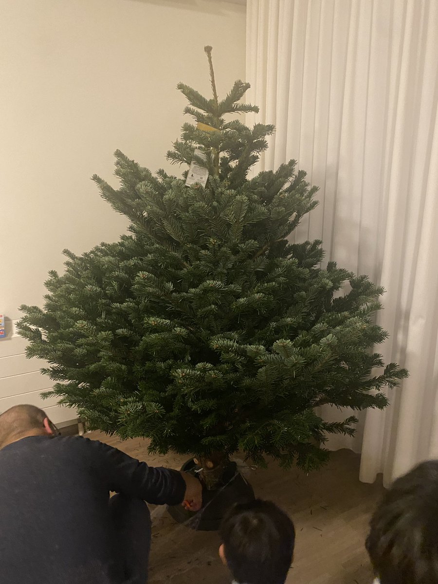 Zijn alle kerstbomen altijd zo breed.. of hoor je ze te snoeien? 😅😆

#itsbeginningtolookalotlikechristmas