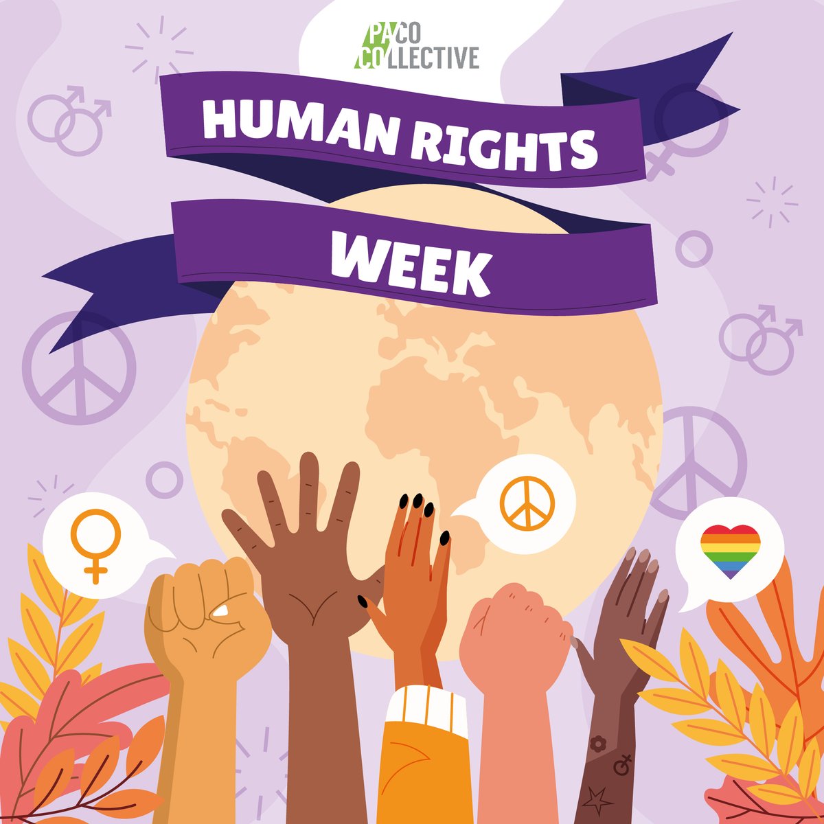 PACO Collective tweet media