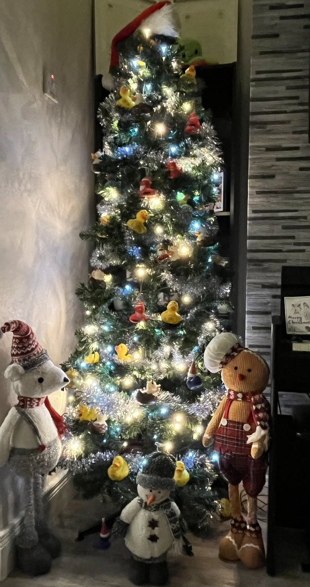 sharyn2929's tweet photo. It’s finally Christmas in the Ingrey house… only 16+years of Christmas Day dinner @HastingsHotels ducks to make a proper Christmas tree… 🎄⛄️#Christmasducks #hastinghotelducks #ChristmasCountdown #ChristmasTree https://t.co/zdJiq0nP4Y