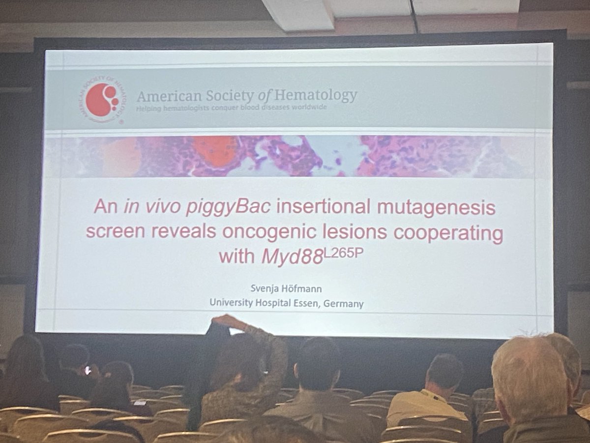 Christian Reinhardt (@chr_reinhardt) on Twitter photo Excellent presentation by superstar Svenja Höfmann at #ASH23 on mouse models of #DLBCL. #proudPI <a href="/HamatologieUk/">Hämatologie und Stammzelltransplantation, UK-Essen</a> <a href="/UniklinikEssen/">Uniklinikum Essen</a> <a href="/unidue/">Uni Duisburg-Essen @unidue.bsky.social</a> Excellent presentation by superstar Svenja Höfmann at #ASH23 on mouse models of #DLBCL. #proudPI <a href="/HamatologieUk/">Hämatologie und Stammzelltransplantation, UK-Essen</a> <a href="/UniklinikEssen/">Uniklinikum Essen</a> <a href="/unidue/">Uni Duisburg-Essen @unidue.bsky.social</a>