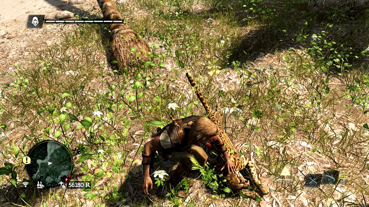 13brevkasse's tweet photo. #Turtle @DanielDonner82 #Nassau #VGPNetwork #Town #AssassinsCreedBlackFlag @discophotomode #Ocelot #ThePhotoMode #GOTY #Tortoise #XboxShare #Privateer #BlackFlag @Evo_Pixel #Viewpoint #PS5Share #Soldier #VPRT #AssassinsCreed @NextGenPlayer #Churchtower #EdwardKenway #PlayStation5 https://t.co/IPvk33GNYy