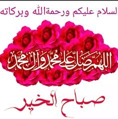 🍁🍁ROMEO 🍁🍁رومیو 🍁🍁 tweet media