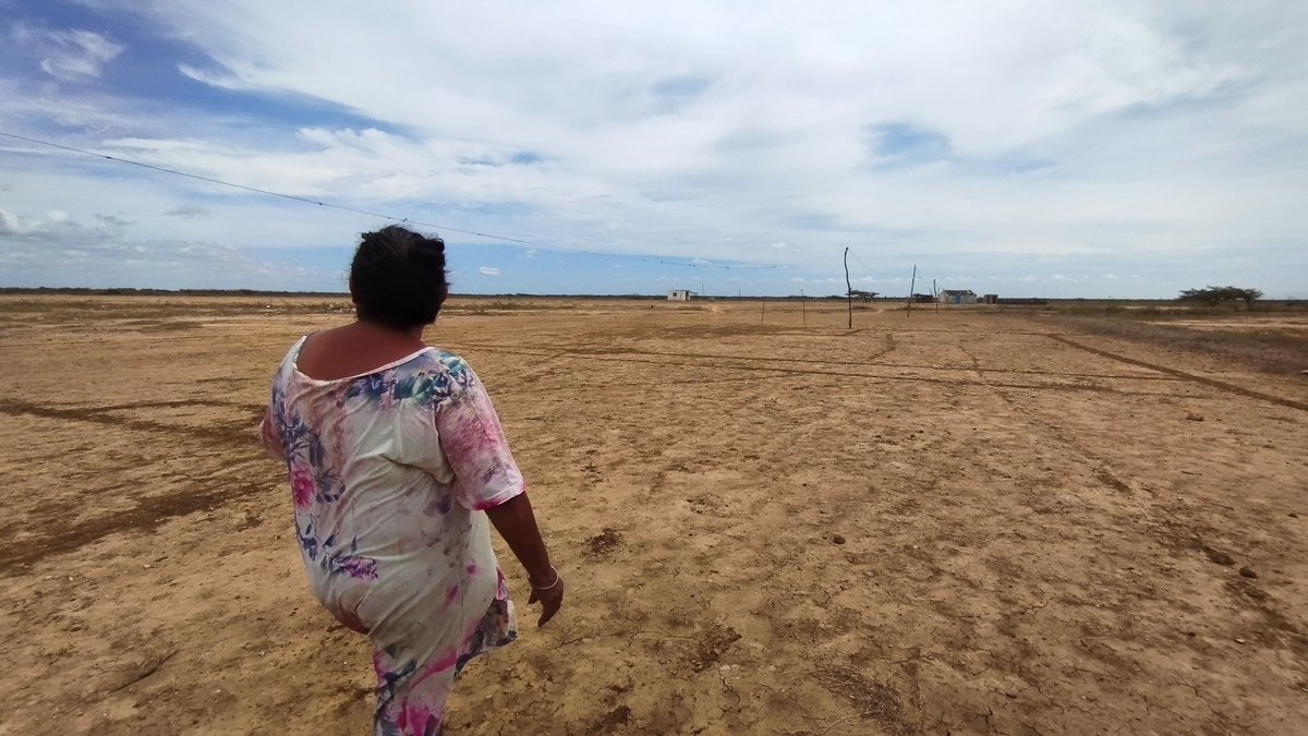 sciencelover_rs's tweet image. Me fui a la Guajira venezolana a indagar cómo la sequía está afectando a las mujeres🏜️
Ellas caminan kilómetros para encontrar agua que, muchas veces, está contaminada; una actividad que las expone a dolencias crónicas y enfermedades.
En @EfectoCocuyo:
efectococuyo.com/cambio-climati…