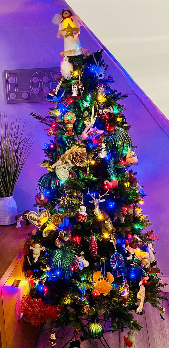Niki Eves (@nikinoona) on Twitter photo Let the standard, understated Eves Christmas begin. Let the standard, understated Eves Christmas begin.