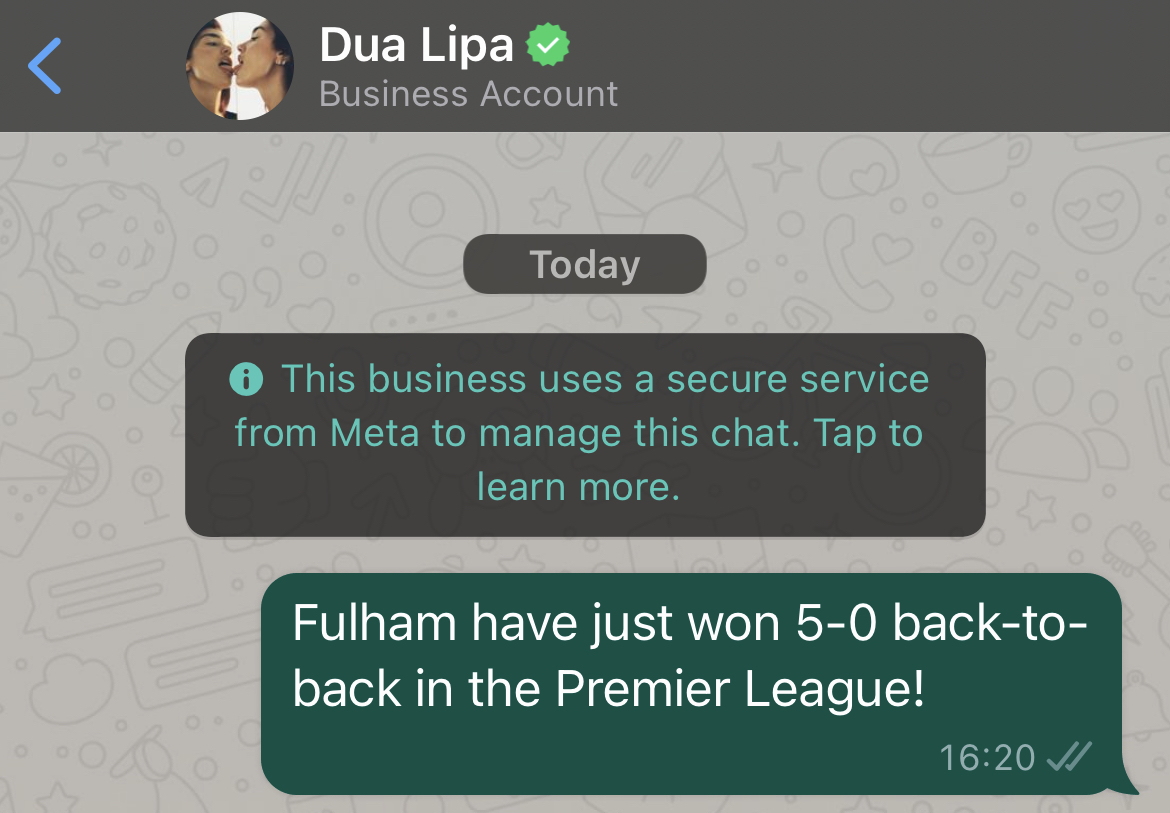 FulhamFC's tweet photo. https://t.co/VgEa012EIt