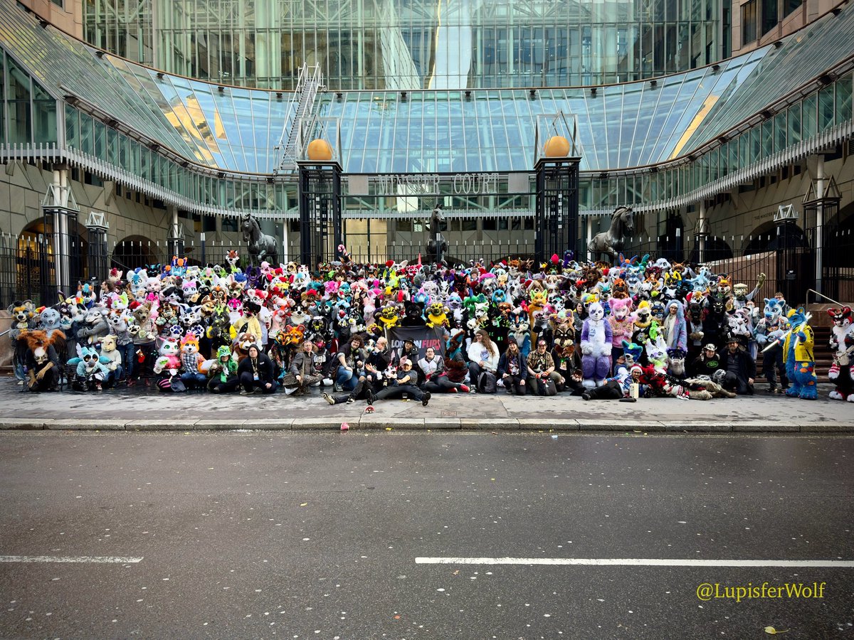 LondonFurs tweet media