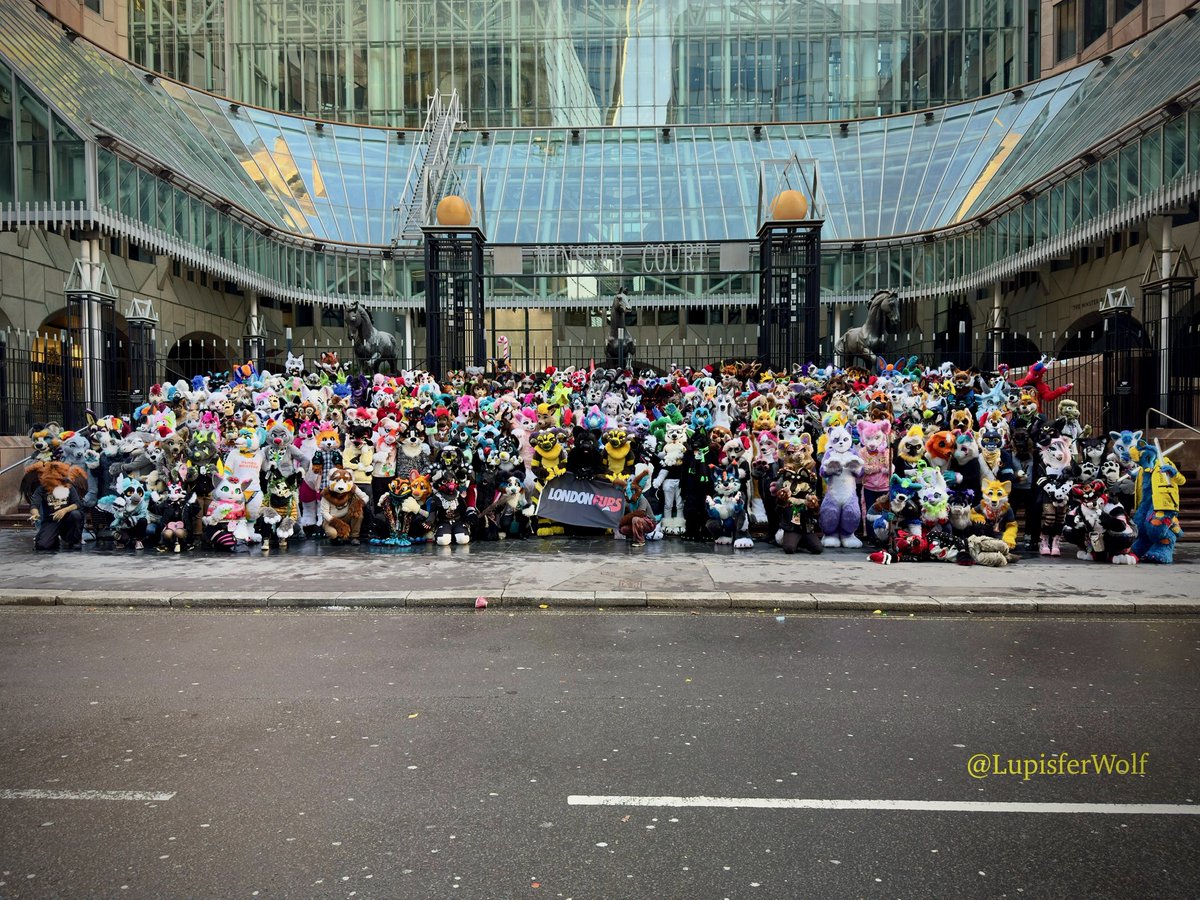 LondonFurs tweet media
