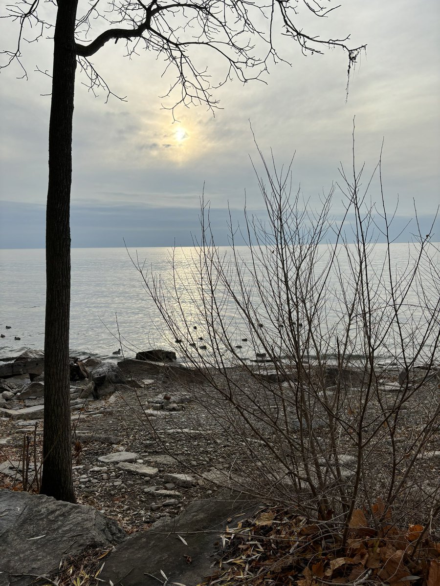 MattShchukovsky's tweet photo. Sometimes my pictures might be a little repetitive but there’s always some subtle differences to me even from the same location. Beautiful day in #longbranchto doing over 7KM between my run and a walk. #fitleaders #lakeontario https://t.co/imHgtnQ3Np