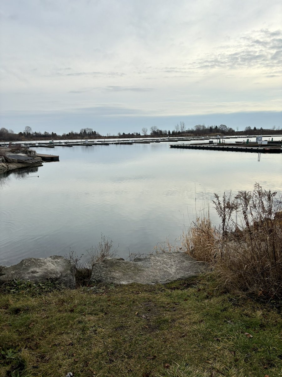 MattShchukovsky's tweet photo. Sometimes my pictures might be a little repetitive but there’s always some subtle differences to me even from the same location. Beautiful day in #longbranchto doing over 7KM between my run and a walk. #fitleaders #lakeontario https://t.co/imHgtnQ3Np