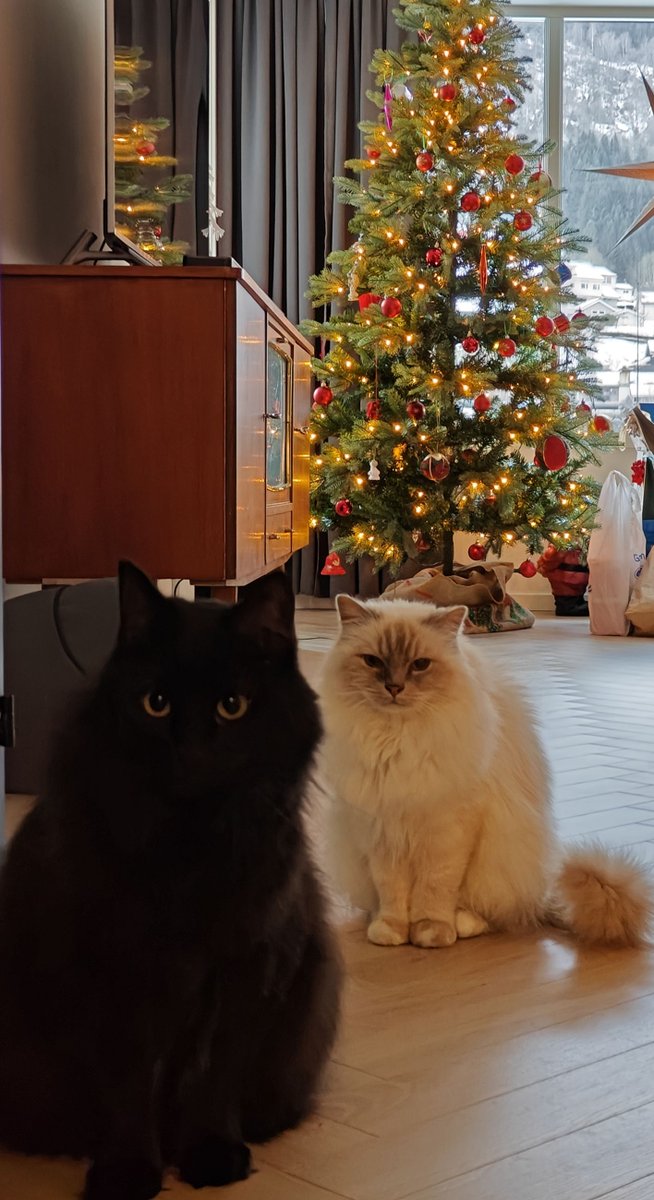 MrBrobin tweet media