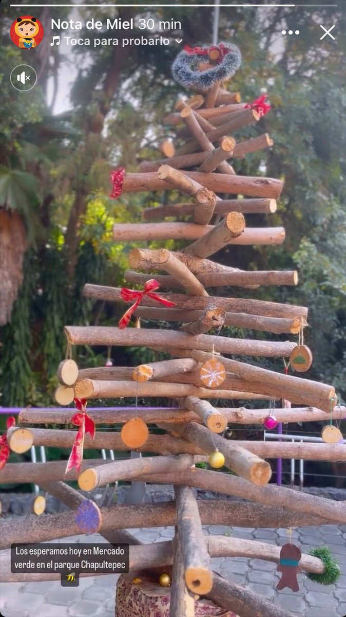 Jeglemqz's tweet photo. En el parque Chapultepec de #Cuernavaca #Morelos esta el colectivo mercado verde, emprendedores, Artesanos y Productores de el Estado visítenos y compren sus regalos de Navidad Originales y apoyemos el #ConsumeLocal
Por ahi anda la Notita de Miel 🍯 con su #NotaDeMiel https://t.co/7Kfl77dsVu